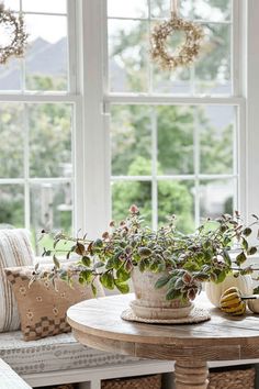 a potted plant sitting on top of a table in front of two large windows