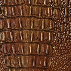 an alligator skin texture is shown in brown