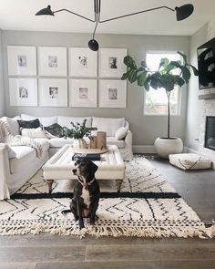 a dog sitting in the middle of a living room with white furniture and pictures on the wall