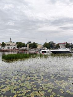 boats are docked in the water with lily pads on the ground and buildings in the background