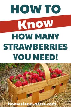 strawberries in a basket with the words how to know how many strawberries you need