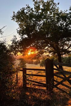 the sun is setting behind a fence in an open field, with trees and grass