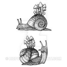 two snails are sitting on top of each other