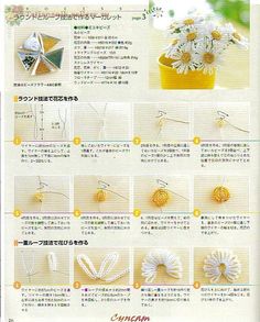 the instructions for how to make daisy daisies in japanese language, with pictures of flowers and