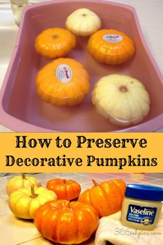 how to preserve decorative pumpkins