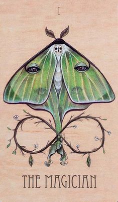 a drawing of a green moth on a wooden background