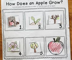 an apple grow activity for kids to learn how to draw and color the pictures on paper