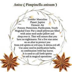 Anise Magical Properties, Anise Seed Magical Properties, Magical Properties Of Star Anise, Star Anise Magical Properties, Magickal Correspondences, Winter Witch, Witchy Kitchen, Magickal Herbs, Pagan Spirituality