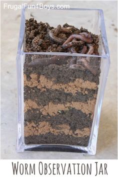 a glass container filled with dirt and worms