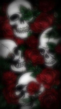 three skulls with roses in the background