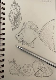 a pencil drawing of some fish and seashells next to a spiralle notebook