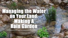 there are rocks and plants growing in the water on this rock garden area with text overlay that reads, managing the water on your land making a rain garden