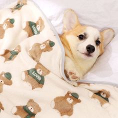 a small dog laying on top of a bed covered in a white and brown teddy bear blanket