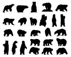 the silhouettes of different bears are shown