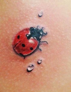 a ladybug tattoo on the back of a woman's stomach with water drops