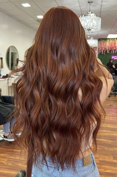 Copper Hair With Honey Highlights, Warm Honey Hair, Auburn Brown Balayage, Cinnamon Color Hair, Copper Brown Hair, Cinnamon Hair, Brown Hair Looks