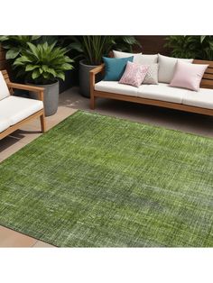 a green area rug with wooden furniture and plants in the background