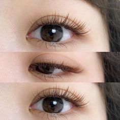 Wispy Eyelashes, Lash Extensions Styles