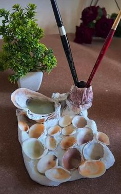 an arrangement of seashells and paintbrushes on a table next to a potted plant