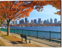 a park bench sitting next to the water with fall leaves on it and a city in the background