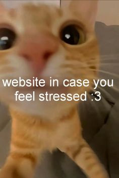 If you need to de-stress, you can use this page :)   If you are having a lot of problems with stress or anxiety or similar I recommend you go to a professional. Your mental health is important! You are important. Click If Your Stressed, Things That Can Make You Happy, How To Get Around Screen Time, How To Calm Down When Stressed, Save If You, How To Calm Your Mind, Cute Things To Print Out, Things To Make You Happy, Fun Websites To Visit When Bored