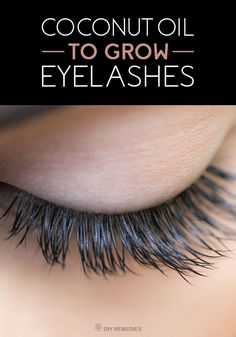 Coconut Oil to Grow Eyelashes - DIY Natural Home Remedies Coconut Hacks, Lisa Beauty, Foundation Hacks, Cucumber Beauty, Grow Eyelashes, How To Grow Eyelashes, French Beauty