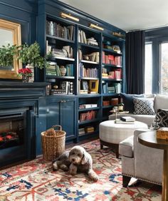 a dog laying on the floor in front of a book shelf with bookshelves