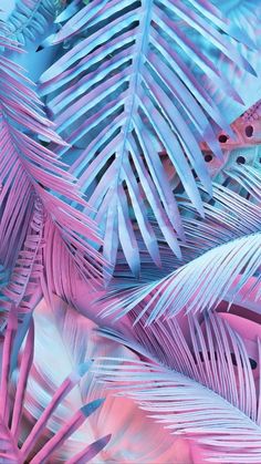 pink and blue palm leaves are seen in this artistic photo, with the light reflecting on them