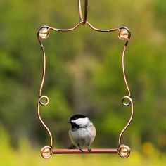 a small bird sitting on top of a metal frame