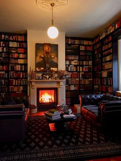 a living room filled with furniture and a fire place next to a book shelf full of books