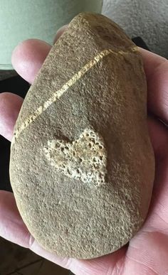 a hand holding a rock with a heart drawn on it