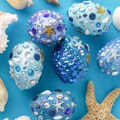 sea shells and starfish on a blue background