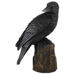 a black bird sitting on top of a wooden stump