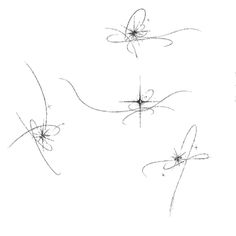 four different types of flying insects on a white background