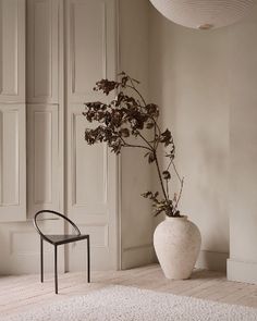 a plant in a white vase next to a black chair on a rug and wall