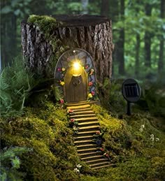 a fairy door in the middle of a mossy forest with stairs leading up to it