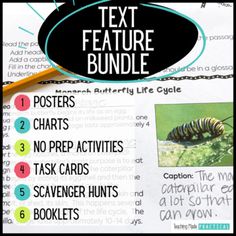 the text feature bundle includes posters, crafts and activities