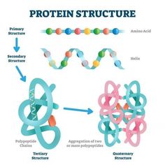 an image of the structure of a protein structure with different types of structures in it