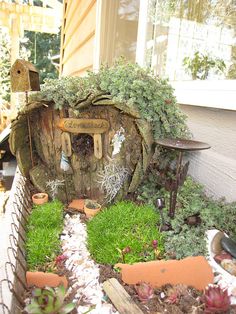 a fairy garden in the shape of a hobbot with plants growing out of it