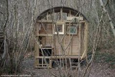 an outhouse in the woods surrounded by trees and branches with no leaves on it