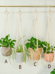 three hanging planters with plants in them and the letters abc, c, d