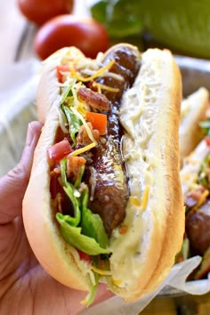 a person holding a hot dog with toppings in their hand and some tomatoes on the side