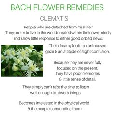 a poem with flowers and the words, bach flower remedies clematis