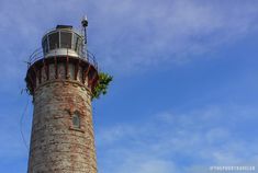 a light house with plants growing on the top