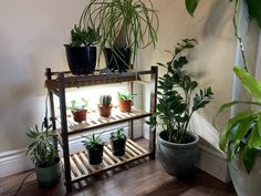 Handmade Black Walnut Plant Shelf with Custom Full Spectrum LED Grow Light.  This is a unique design that I created for my wife to keep her collection of indoor house plants organized.  Fits perfectly anywhere in the house, can be used in front of windows, or in low light areas such as basements, living rooms, or bedrooms.  This item is shipped with one custom Full Spectrum LED Grow light, and additional grow lights are available.  These are high-quality full spectrum grow lights, purchased from Indoor Plant Table, Grow Shelf, Walnut Plant, Mid Century Modern Plants, Garden Plant Stand, First Apartment Decorating, Pinterest Contest, Plant Shelf, Led Grow Light