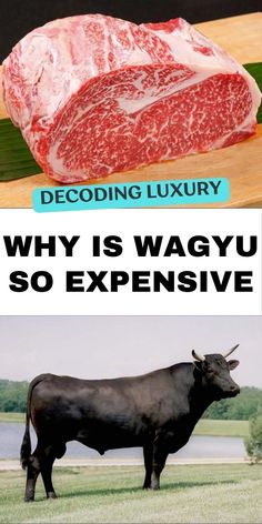 two pictures with the words decoding luxury and why is wagyu so expensive?