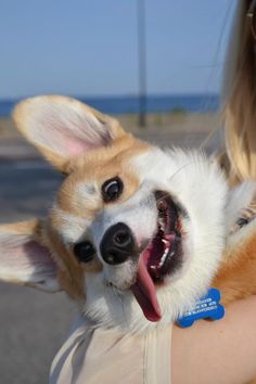 a woman holding a dog in her arms on the street by the ocean with its mouth open