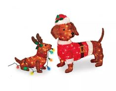 two dogs wearing christmas sweaters and lights