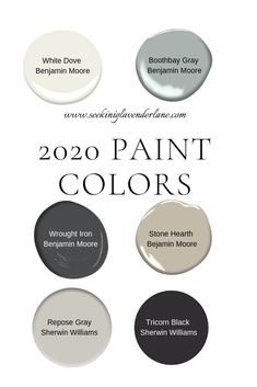 the different paint colors are shown in this graphic style, including white gray and black