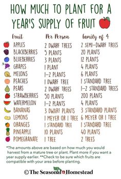 how much to plant for a year's supply of fruit